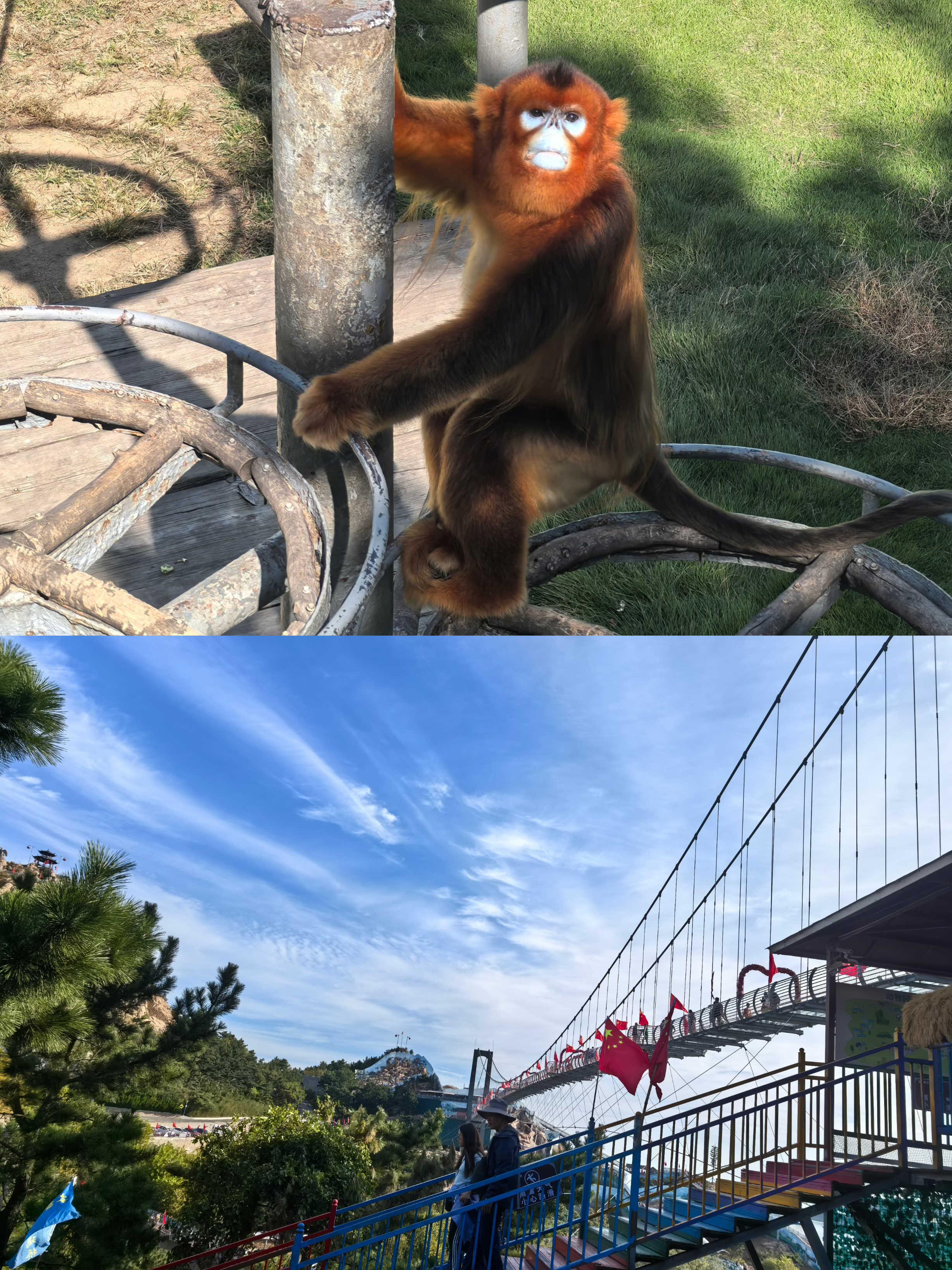 ¿Ê±|AG(AsiaGaming)ÓÅÖÊÔËÓªÉÌ