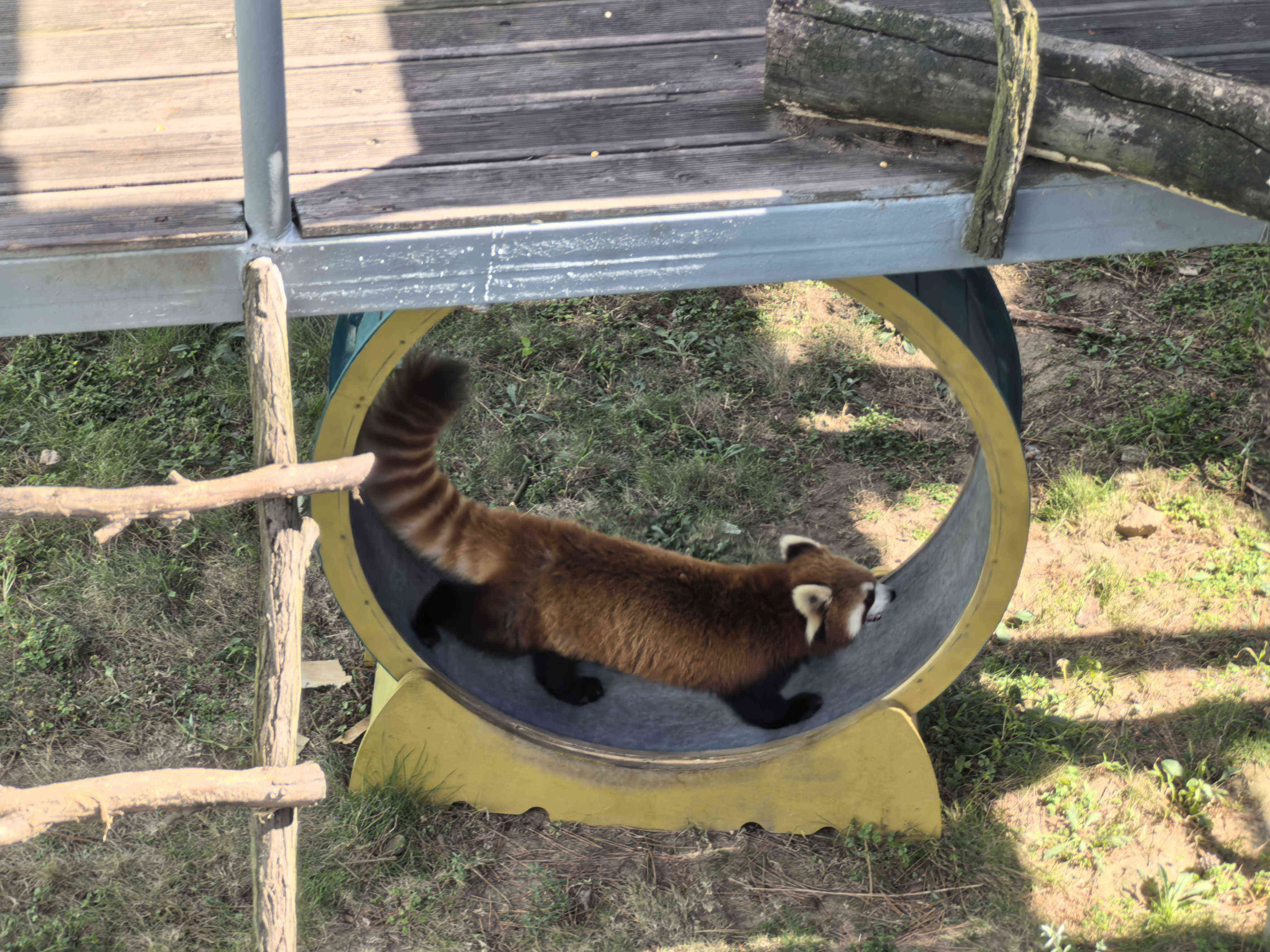 ¿Ê±|AG(AsiaGaming)ÓÅÖÊÔËÓªÉÌ