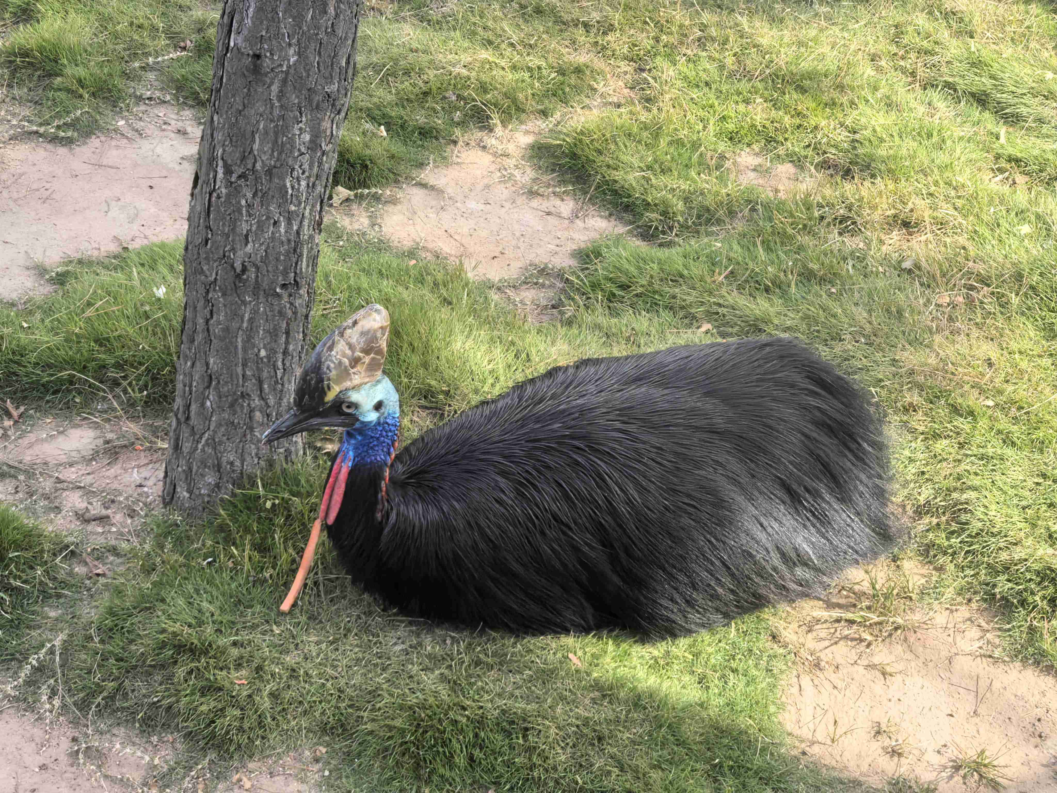 ¿Ê±|AG(AsiaGaming)ÓÅÖÊÔËÓªÉÌ